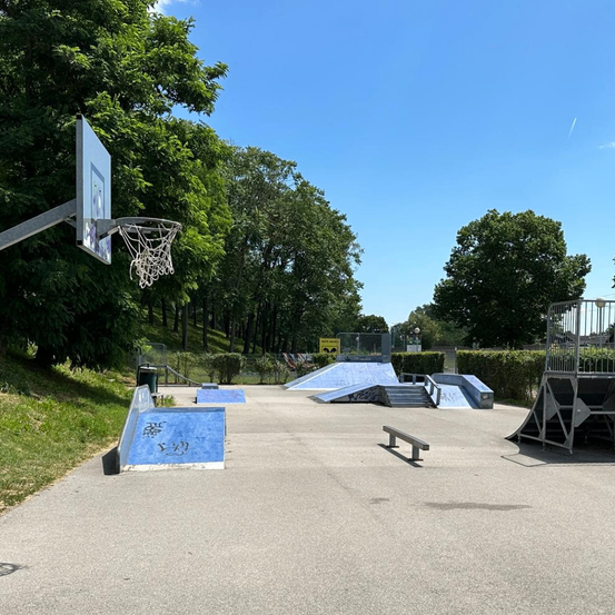 Bild enthält, Basketball, Person, Playing Basketball, Sport, Basketball Game, Bench, Furniture, Gate