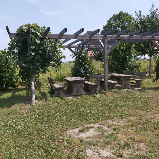 Bild enthält, House, Housing, Porch, Patio, Pergola, Garden, Nature, Outdoors, Bench, Backyard