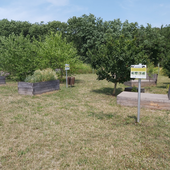 Bild enthält, Outdoors, Graveyard, Grass, Plant, Nature, Tree, Vegetation, Gravestone, Tomb