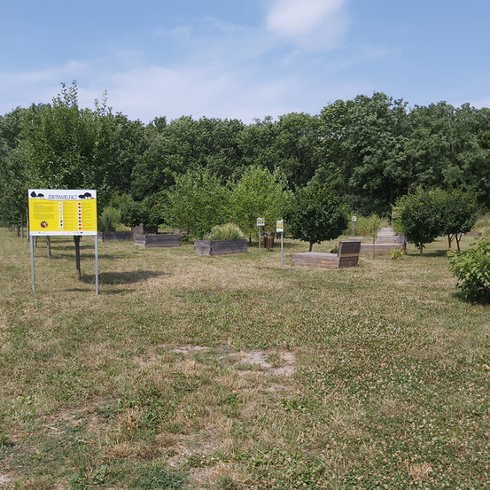 Bild enthält, Grass, Nature, Outdoors, Park, Tree, Ground, Fir, Field, Pasture, Graveyard
