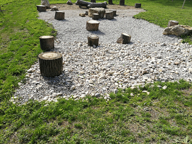 Bild enthält, Plant, Tree, Tree Stump, Road, Gravel, Machine, Wheel