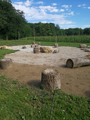 Bild enthält, Plant, Tree, Tree Stump, Wood