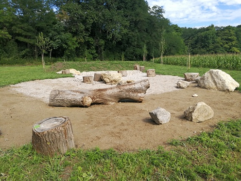 Bild enthält, Plant, Tree, Tree Stump, Wood