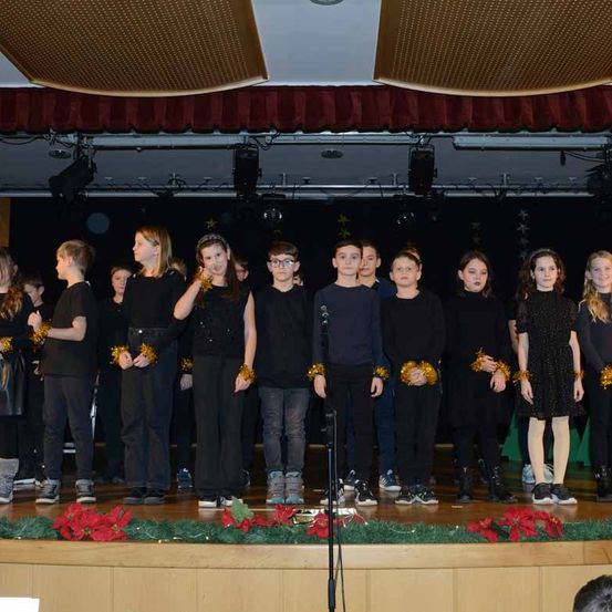 Bild enthält, Group Performance, Person, Adult, Female, Woman, Stage, People, Jeans, Groupshot, Musician