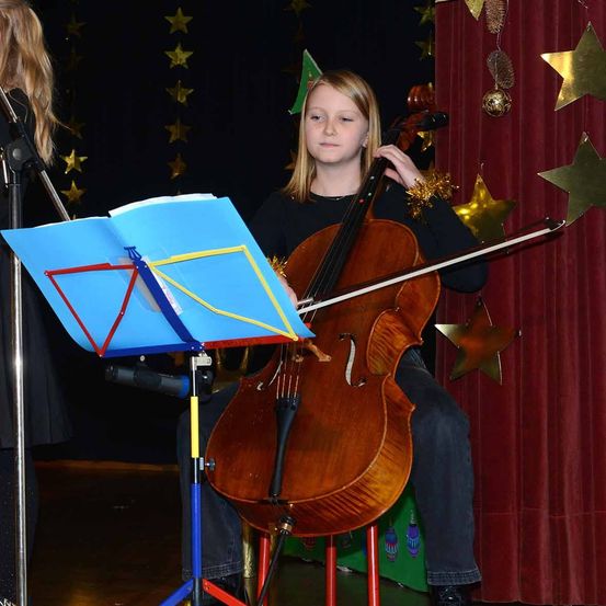 Bild enthält, Cello, Musical Instrument, Performer, Person, Solo Performance, Adult, Female, Woman, Face, Head