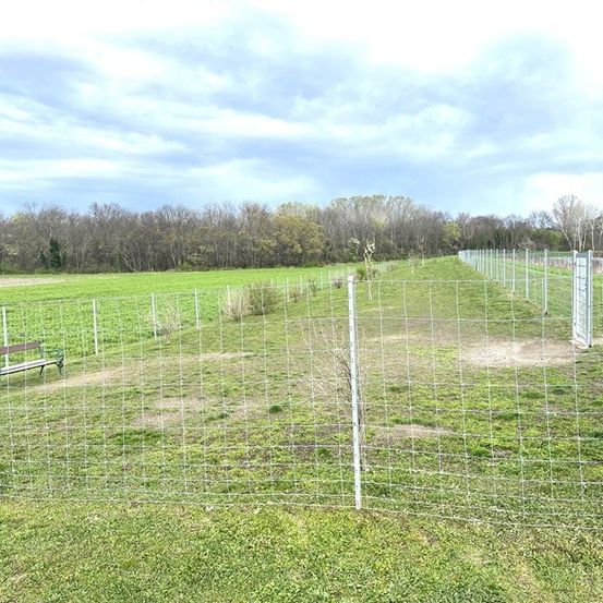 Bild enthält, Countryside, Field, Nature, Outdoors, Pasture, Rural, Yard, Fence, Bench, Backyard