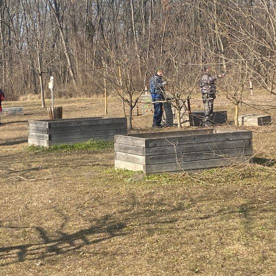 Bild enthält, Person, Jacket, Tree, Outdoors, Grass, Jeans, Graveyard, Park, Gravestone, Grove