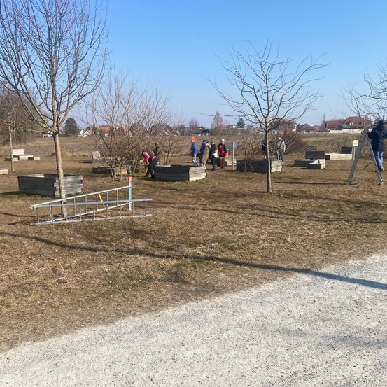 Bild enthält, Person, Grass, Outdoors, Park, Plant, Tree, Graveyard, Footwear, Shoe, Ground