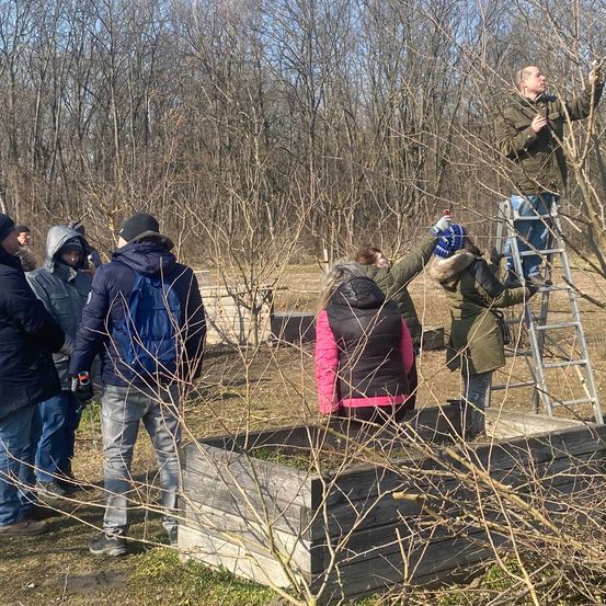 Bild enthält, Pants, Tree, Vegetation, Person, Adult, Female, Woman, Male, Man, Glove