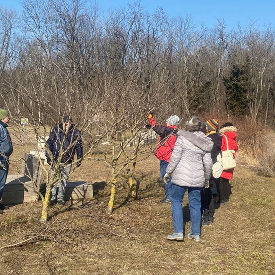 Bild enthält, Pants, Tree, Grass, Park, Vegetation, Walking, Glove, Soil, Woodland, Grove