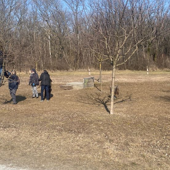 Bild enthält, Tree, Grass, Person, Bench, Park, Grove, Woodland, Glove, Soil, Hat