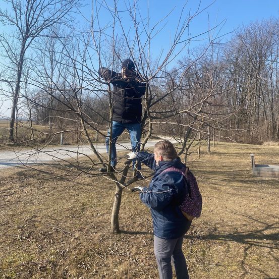 Bild enthält, Grove, Land, Tree, Vegetation, Woodland, Pants, Photography, Portrait, Grass, Park