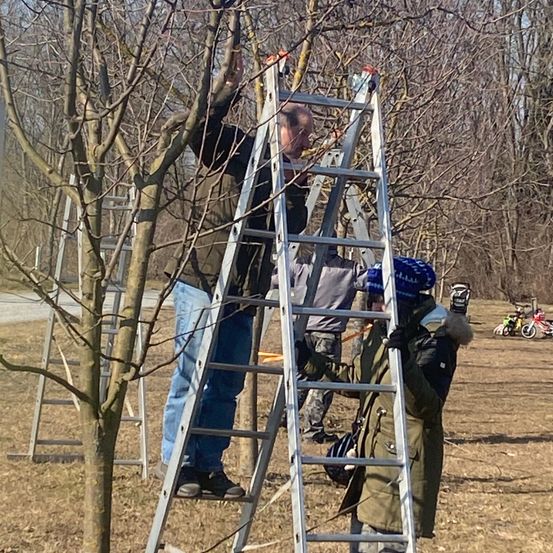 Bild enthält, Vegetation, Tree, Woodland, Grove, Pants, Grass, Person, Adult, Male, Man
