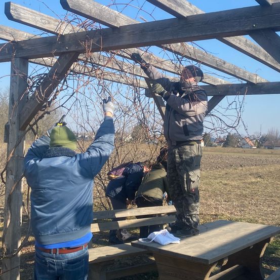 Bild enthält, Porch, Pants, Patio, Wood, Shelter, Adult, Male, Man, Person, Glove