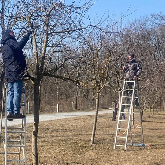 Bild enthält, Adult, Male, Man, Person, Jeans, Shoe, Jacket, Glove, Electronics, Camera