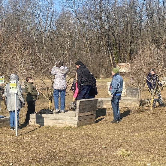 Bild enthält, Pants, Person, Coat, Jeans, Shoe, Outdoors, Tree, Handbag, Hat, Graveyard
