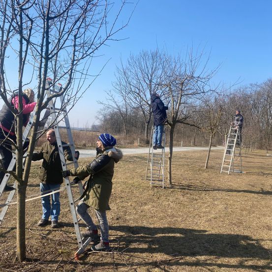Bild enthält, Person, Plant, Tree, Outdoors, Photographer, Clothing, Footwear, Shoe, Photography