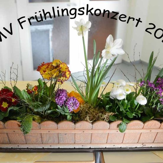 Bild enthält, Plant, Potted Plant, Flower, Flower Arrangement, Jar, Planter, Vase, Floral Design, Pattern, Flower Bouquet