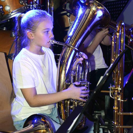 Bild enthält, Brass Section, Horn, Musical Instrument, Tuba, Person, Face, Head