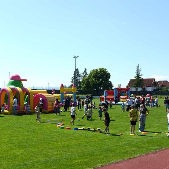 Eine Gruppe von Kindern und Erwachsenen spielt auf einem Feld mit verschiedenen aufblasbaren Strukturen und Hindernissen. Die Luftschlangen sind bunt und in Tierformen gestaltet, während das Feld mit grünem Gras bedeckt ist.