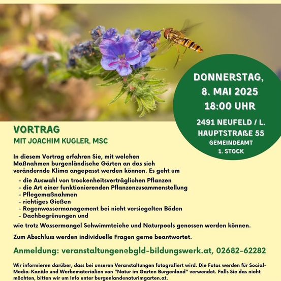 Ein Veranstaltungsposter mit einer Biene und Blumen. Es steht 'Vortrag mit Joachim Kugler, MSc'. Das Datum ist Donnerstag, 8. Mai 2025 um 18:00. Der Ort ist 2491 Neufeld/L, Hauptstraße 55, Gemeindeamt 1. Stock. Der Vortrag behandelt die Anpassung burgenländischer Gärten an das sich verändernde Klima.