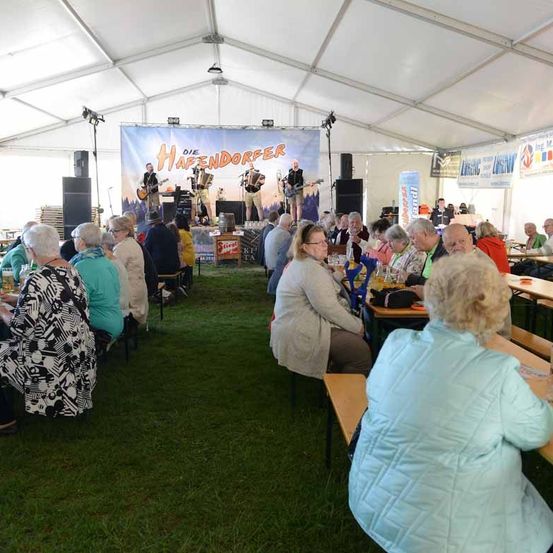 Eine Gruppe älterer Menschen sitzt auf einer grünen Wiese um Tische herum und schaut sich eine Live-Band-Performance in einem großen Zelt an.