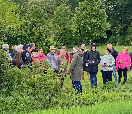 Eine Gruppe von Menschen, in kühleres Wetter gekleidet, steht in einem von Grün umgebenen Grasfeld und hört jemandem zu.