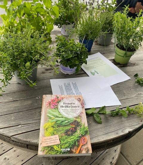 Ein Holztisch zeigt mehrere Topfpflanzen mit Kräutern. Ein Buch mit dem Titel 'Frauen Heilkräuter' liegt auf dem Tisch, neben verschiedenen Papieren und einem Löffel.