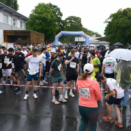 Eine Menschenmenge von Marathonläufern versammelt sich im Regen, einige halten Regenschirme. Sie stehen in einer Reihe mit Nummern auf ihren Trikots, und eine Frau in einer rosa Hoodie beobachtet sie.