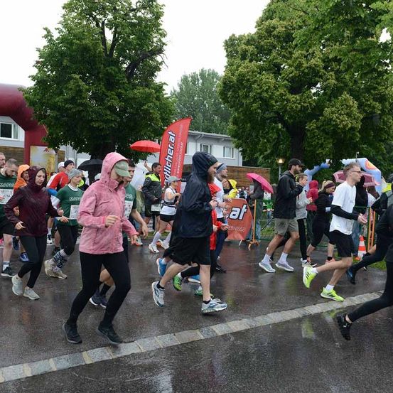 Marathonteilnehmer joggen auf einer nassen Straße unter Bäumen, einige tragen Jacken und halten Regenschirme. Banner säumen die Seiten, und Menschen feuern sie an.