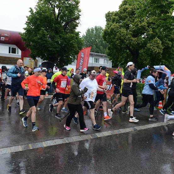 Läufer nehmen an einem Marathon auf einer nassen Straße teil. Sie tragen verschiedene Farben von Shirts und Shorts. Bäume und Gebäude sind im Hintergrund sichtbar.