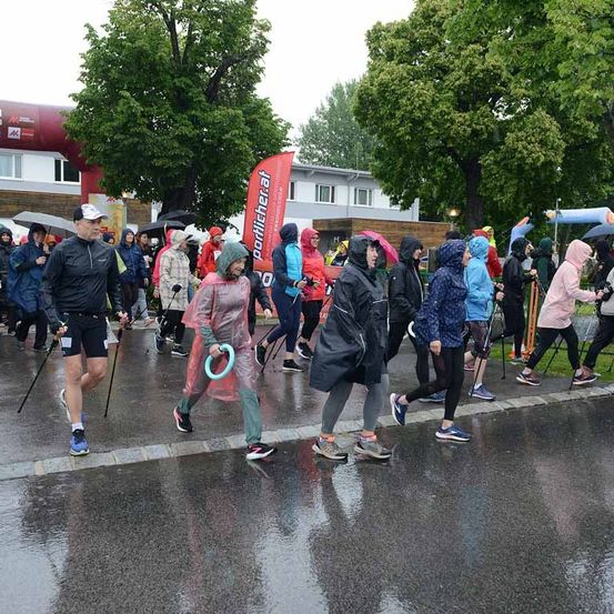 Eine Gruppe von Läufern nimmt an einem Rennen auf einer nassen Straße teil, mit Bäumen und Gebäuden im Hintergrund. Viele tragen Regenmäntel und einige haben Regenschirme dabei.