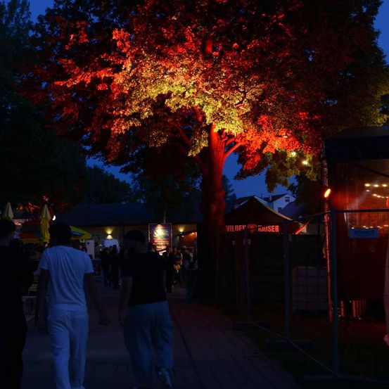 In der Nacht ist ein leuchtender Baum mit roten und gelben Blättern von Lichtern beleuchtet. Zwei Personen gehen vor dem Baum, während andere sich um Stände versammeln. Das Gebiet ist gut beleuchtet und schafft eine lebhafte Atmosphäre.