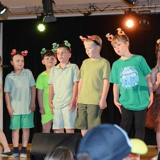 Eine Gruppe von Jungen mit Frosch-Kopfbändern steht auf der Bühne, gekleidet in grünen Hemden und Shorts. Scheinwerfer und Vorhänge im Hintergrund. Ein Publikum beobachtet von unten.