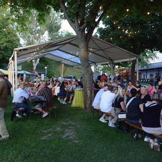 Eine Gruppe von Menschen sitzt unter einem Baldachin in einem Park. Tische und Bänke sind aufgestellt, und die Menschen essen und trinken. Bäume und Pflanzen sind in der Gegend. In der Ferne gibt es Gebäude und ein geparktes Auto.