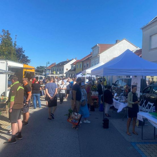 Ein geschäftiger Straßenmarkt mit Menschen, die einkaufen und Stände erkunden. Zelte und Autos sind in der Nähe geparkt. Gebäude mit roten Dächern säumen die Straße.