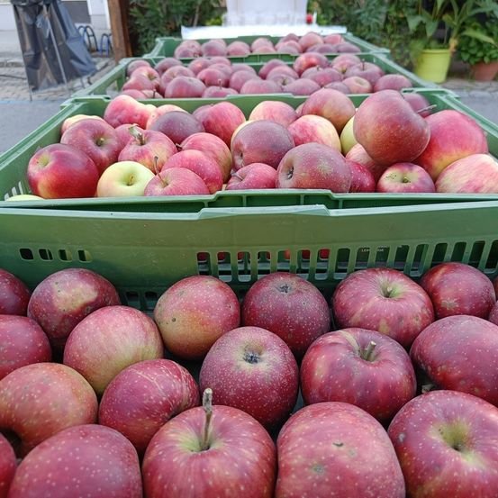 Mehrere grüne Kisten, gefüllt mit roten und gelben Äpfeln, stehen auf dem Boden im Freien. Die Äpfel sind ordentlich angeordnet. Im Hintergrund sind einige Topfpflanzen zu sehen.