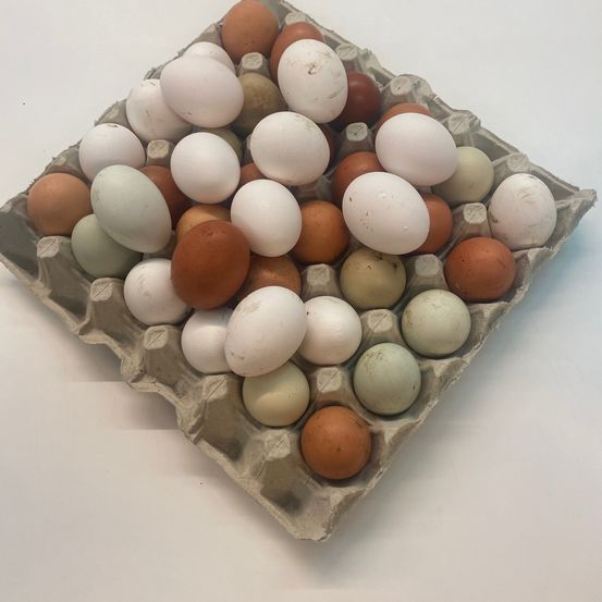 Ein Karton mit Eiern in verschiedenen Braun-, Weiß- und Grüntönen ist in Form eines Diamanten auf einer weißen Oberfläche angeordnet.