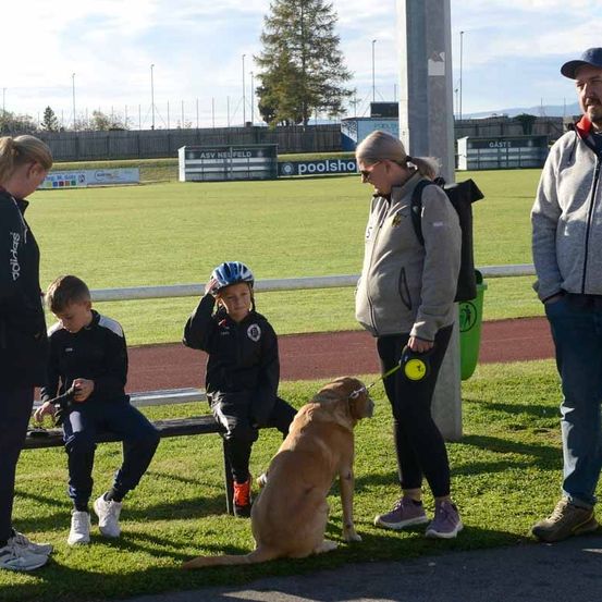 Eine Familie mit Hund ist auf einem Sportplatz, ein Junge im Helm sitzt auf einer Bank und eine Frau hält eine Leine.