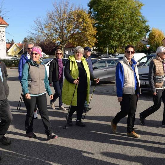 Eine Gruppe von Menschen mit Wanderstöcken geht auf einem sonnigen Tag in einem Parkplatz mit geparkten Autos und Bäumen.