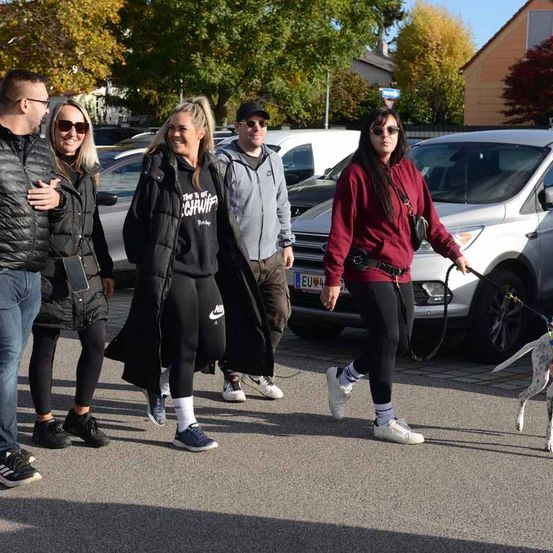 Eine Gruppe von Menschen geht gemeinsam auf einem Parkplatz, wobei eine Frau einen Hund an der Leine führt. Der Hund trägt ein Halsband. Der Parkplatz hat Autos und Bäume im Hintergrund.