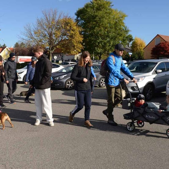 Eine Gruppe von Menschen mit Hunden und einem Baby in einem Kinderwagen geht durch einen Parkplatz mit geparkten Autos, Bäumen und Häusern im Hintergrund.