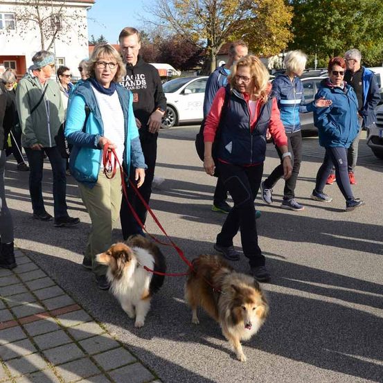 Eine Gruppe von Menschen geht mit ihren Hunden auf einem Parkplatz. Einige tragen Brillen und Jacken. Die Hunde tragen Halsbänder und Leinen. Hinter ihnen stehen Autos, die vor einem Gebäude mit Bäumen und Pflanzen geparkt sind.