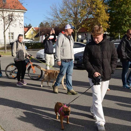 Menschen spazieren mit ihren Hunden in einer städtischen Umgebung. Einige sind für kühleres Wetter gekleidet. Fahrräder und Autos sind in der Nähe geparkt. Die Umgebung deutet auf eine Kleinstadt oder Vorstadt hin.
