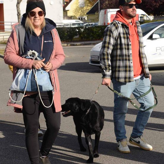 Ein Mann und eine Frau spazieren mit einem schwarzen Hund an der Leine auf einer Straße mit geparkten Autos und Gebäuden im Hintergrund.