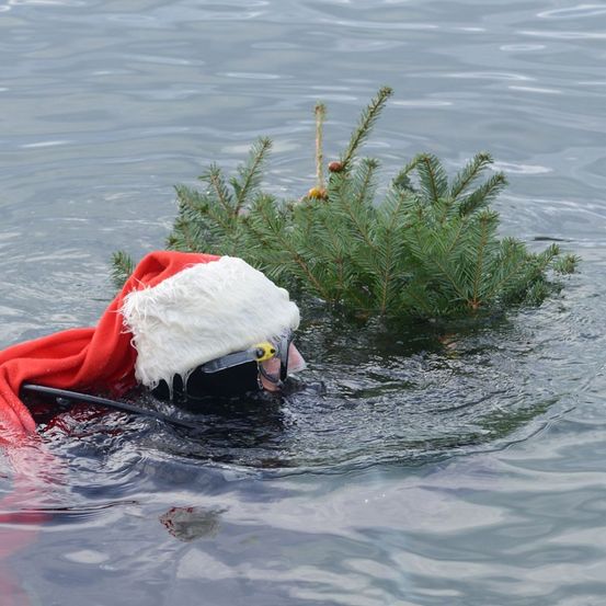 Eine Person mit einem Weihnachtsmannhut und einer Tauchermaske schwimmt in einem See, in dem ein kleiner Weihnachtsbaum treibt.
