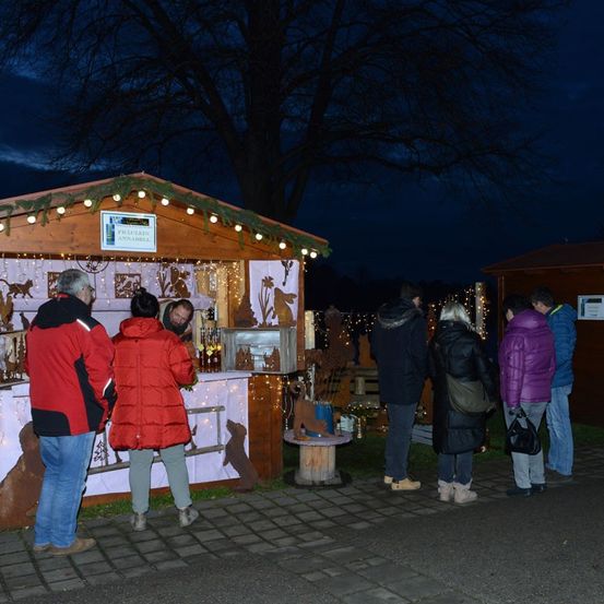 Eine Gruppe von Menschen steht bei einem Weihnachtsmarktstand unter dem Nachthimmel, einige kaufen Gegenstände. Der Stand hat Lichterketten und ein Weihnachtsbaumthema.