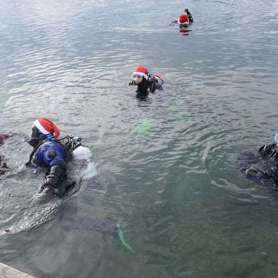 Mehrere Taucher mit Weihnachtsmützen schwimmen in einem See. Ein Taucher trägt eine Maske und hält einen Regler. Ein anderer Taucher trägt eine Weihnachtsmütze und hält ein weißes Objekt.