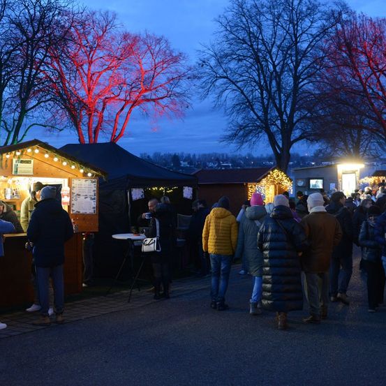 Ein festlicher Outdoor-Markt in der Dämmerung mit rot beleuchteten Bäumen. Menschen in Winterkleidung stehen und warten an Ständen. Einige Bäume haben bunte Lichter. Der Boden ist gepflastert.