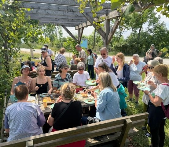 Eine Gruppe von Menschen versammelt sich um einen Picknicktisch in einem Park, genießt Essen und Getränke unter einer Holzpergola.